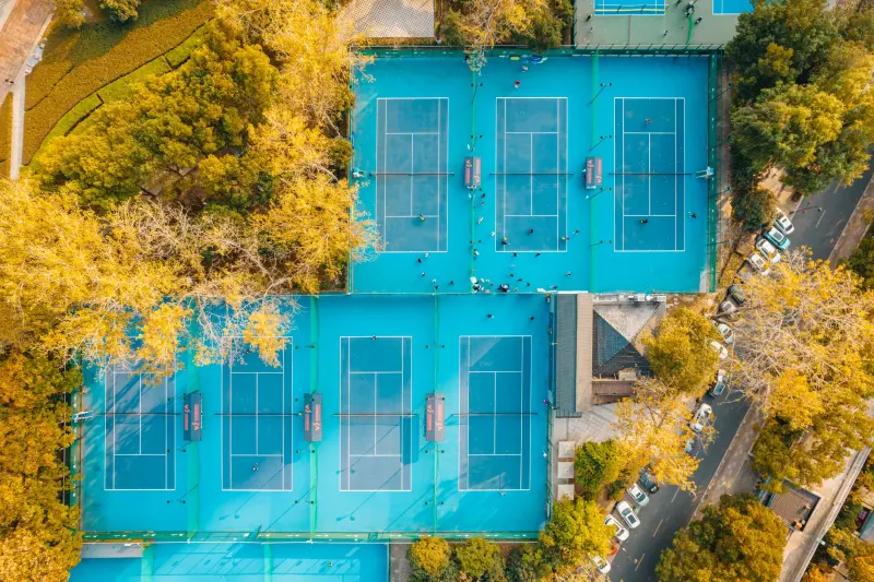 合同纠纷案件中的证据链构建与诉讼策略实务分析
