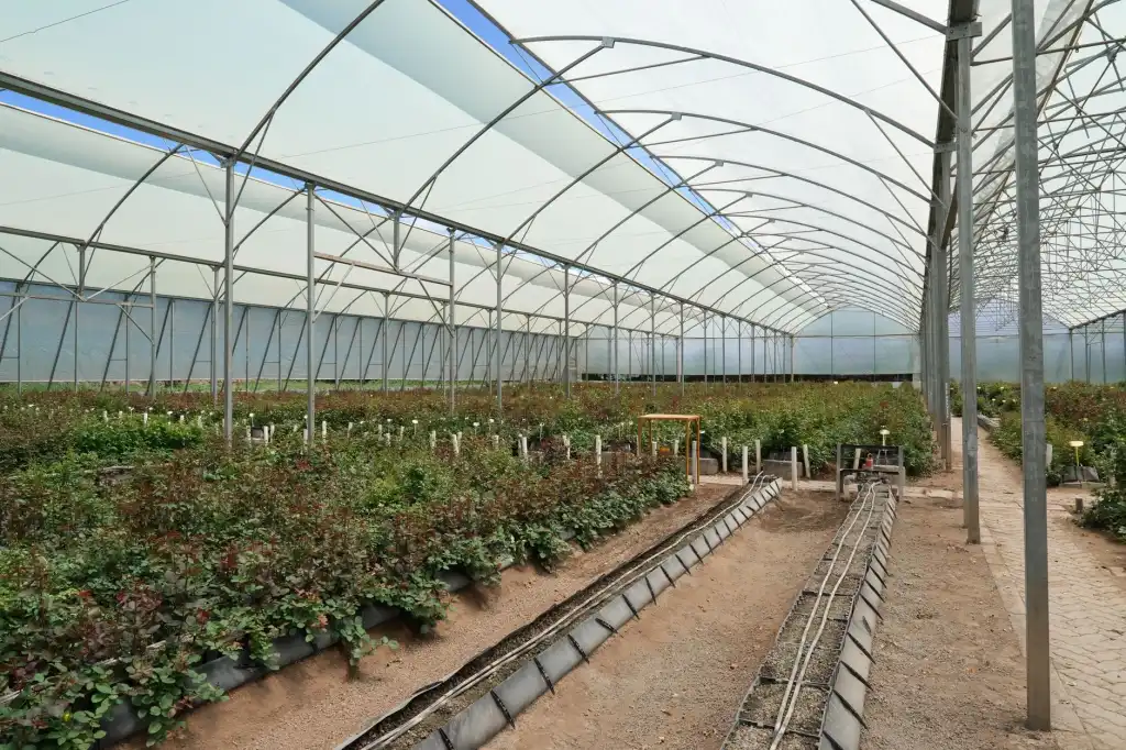 建设工程合同纠纷中工期延误的认定标准与法律应对策略